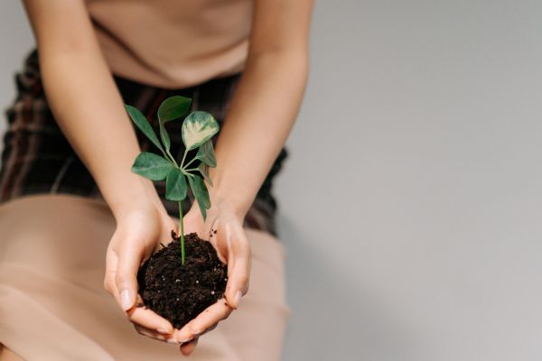 Créer une start-up dédiée à la conservation des sols : guide pratique
