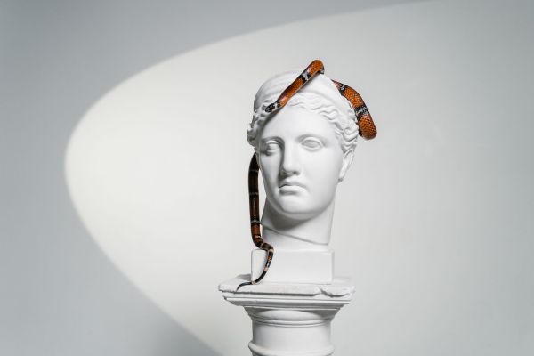 Décoder la symbolique en sculpture