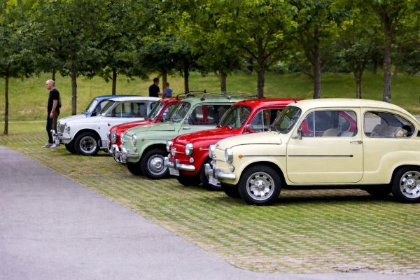Découvrez l'univers fascinant de votre passion voiture !