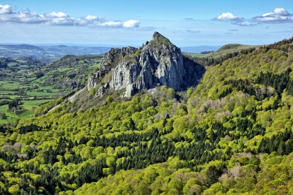 Les réserves naturelles : des terrains de recherche privilégiés pour les scientifiques